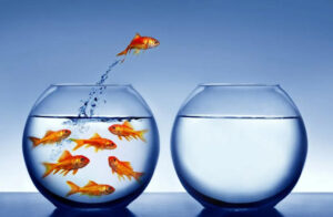 being different by sva strategy